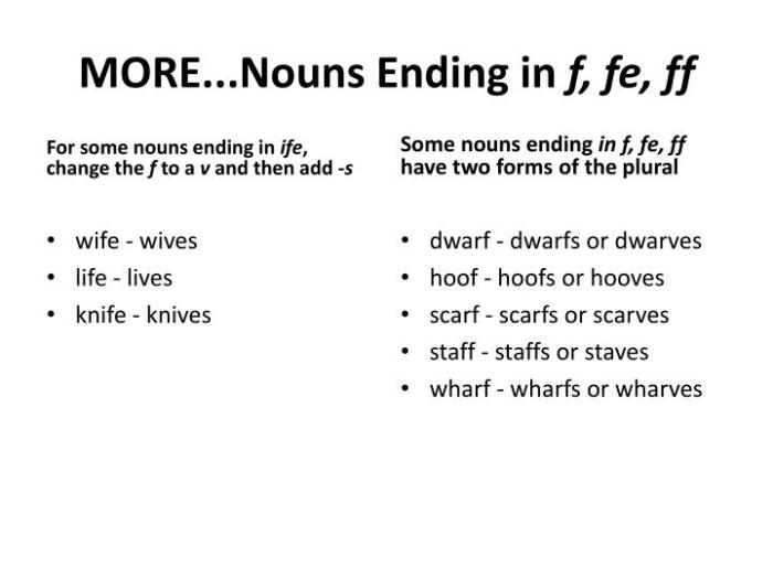 Nouns end with f or fe