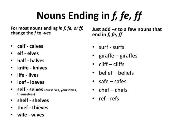 Nouns end with f or fe