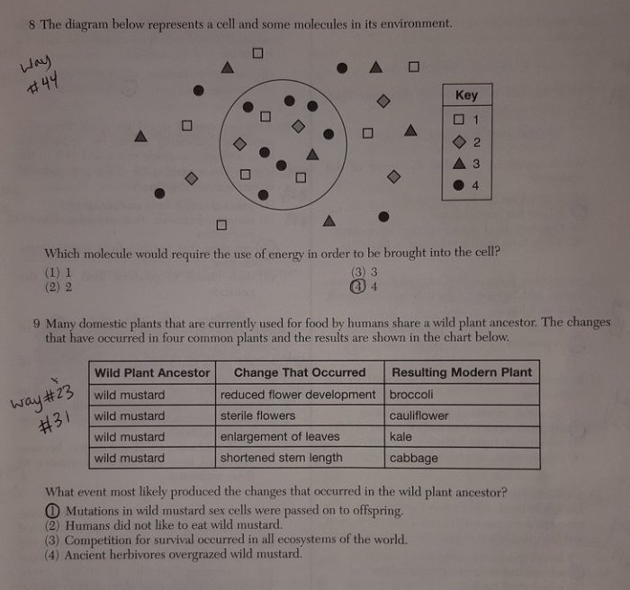 English regents june 2016 answers