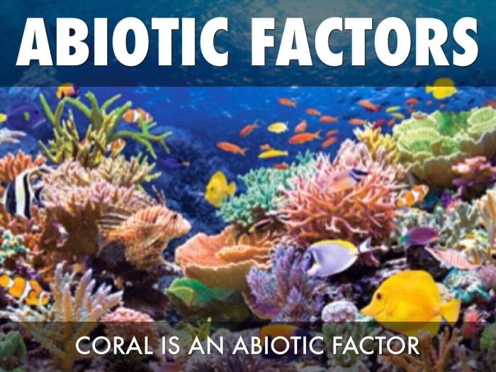 Coral reefs 1 abiotic factors