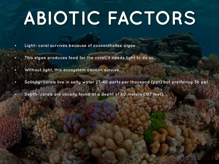 Coral reefs 1 abiotic factors