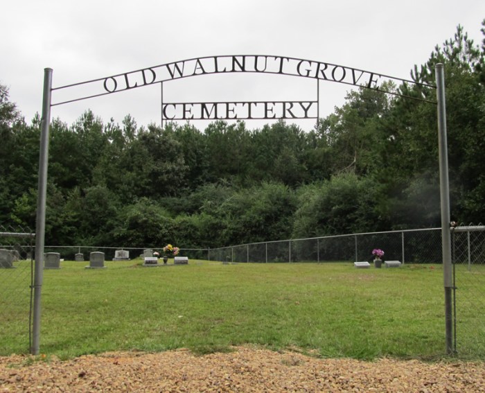 Walnut plantation grove cemetery south