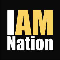 C'est moi i myself am the nation