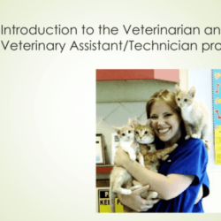 Veterinary assisting fundamentals & applications