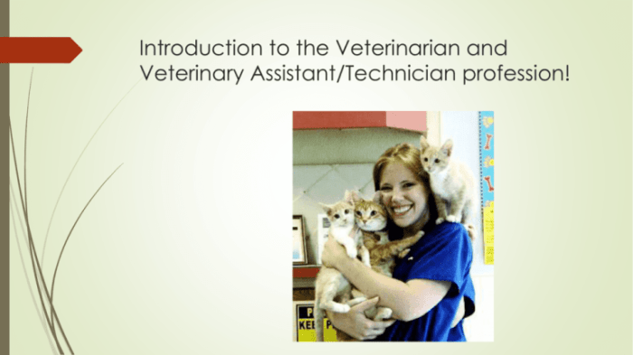 Veterinary assisting fundamentals & applications