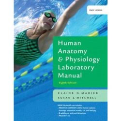 Anatomy physiology lab manual answers