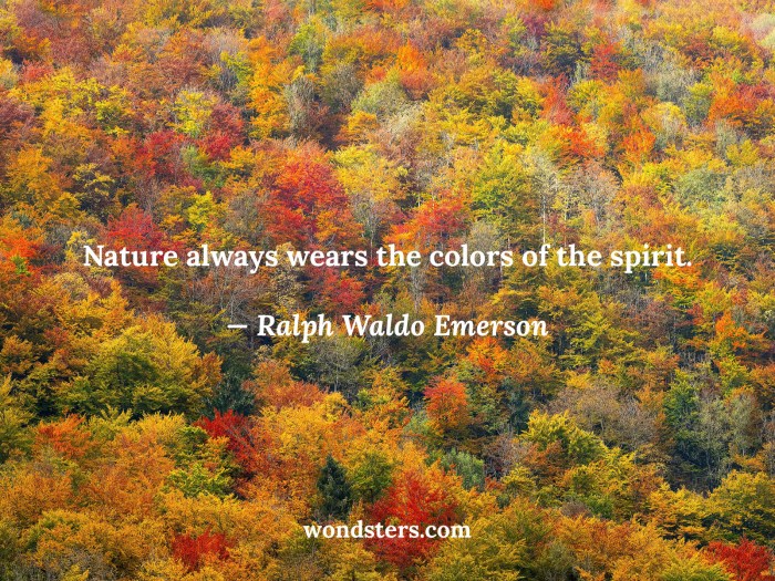 Meaning of nature always wears the colors of the spirit